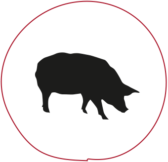 Organic Pork