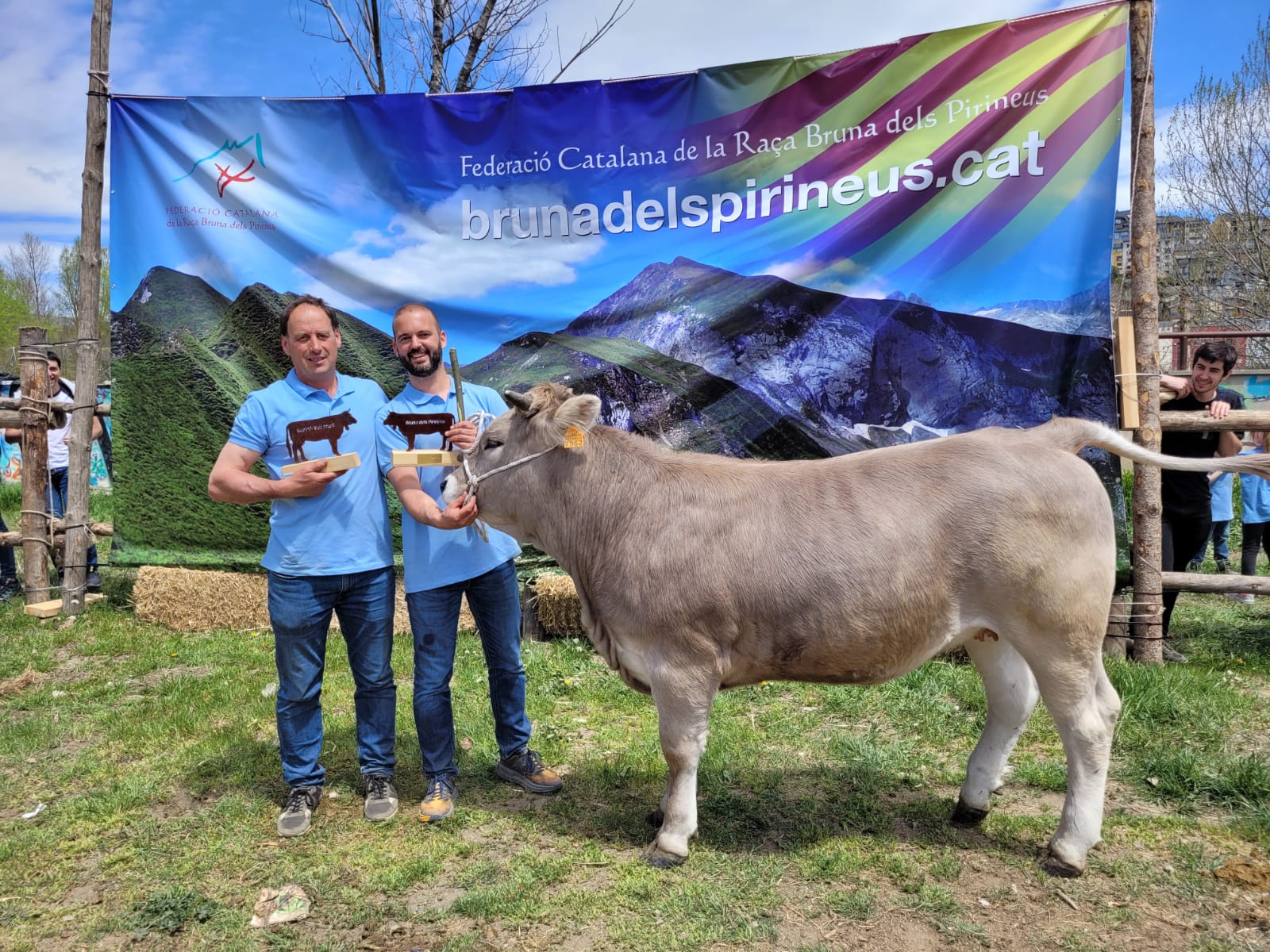 XVI Concurs Nacional de raça Bruna dels Pirineus 
